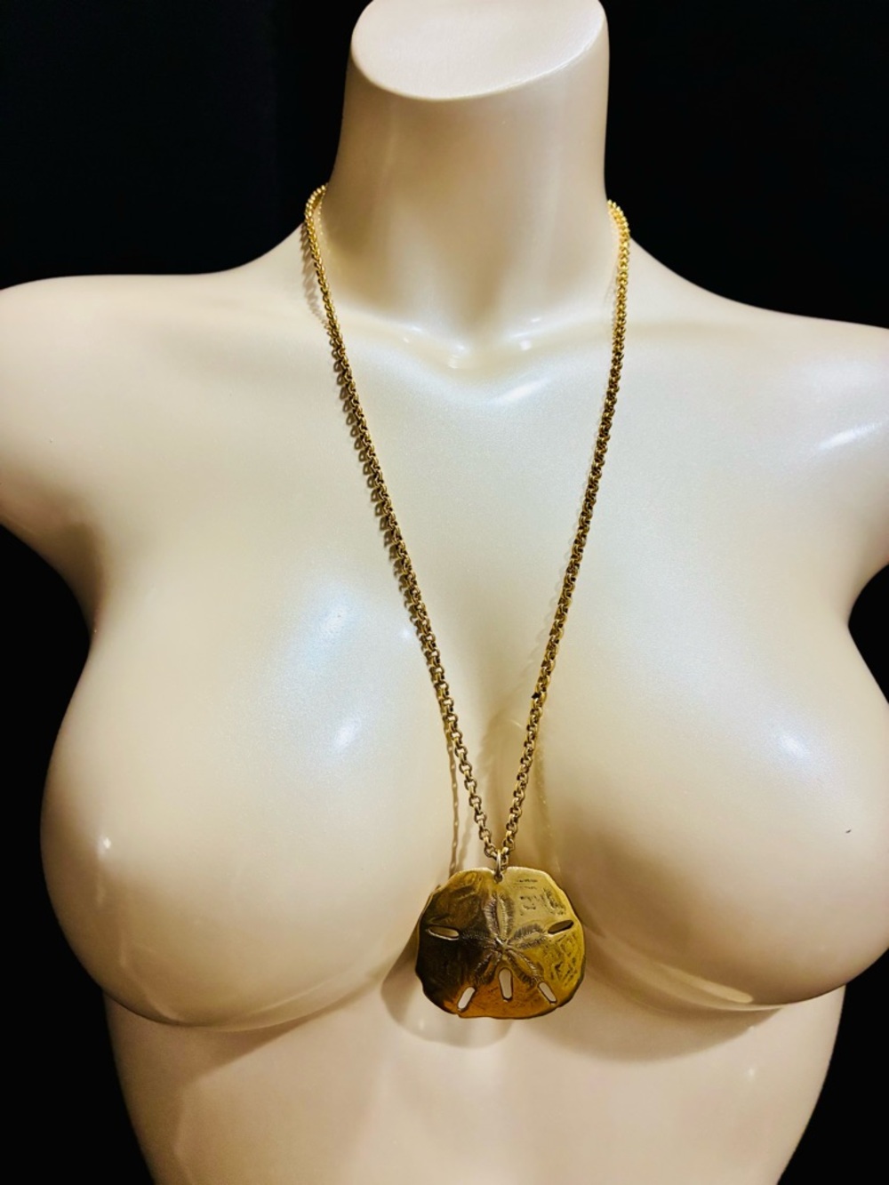 Gold Sand Dollar Medallion Pendant Necklace - Women Jewelry Classic Coastal EUC